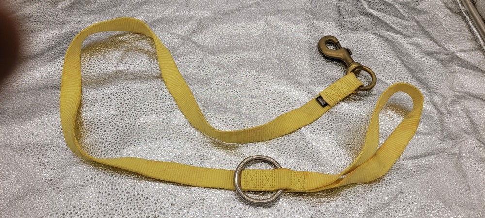 Climbing Lead Leash