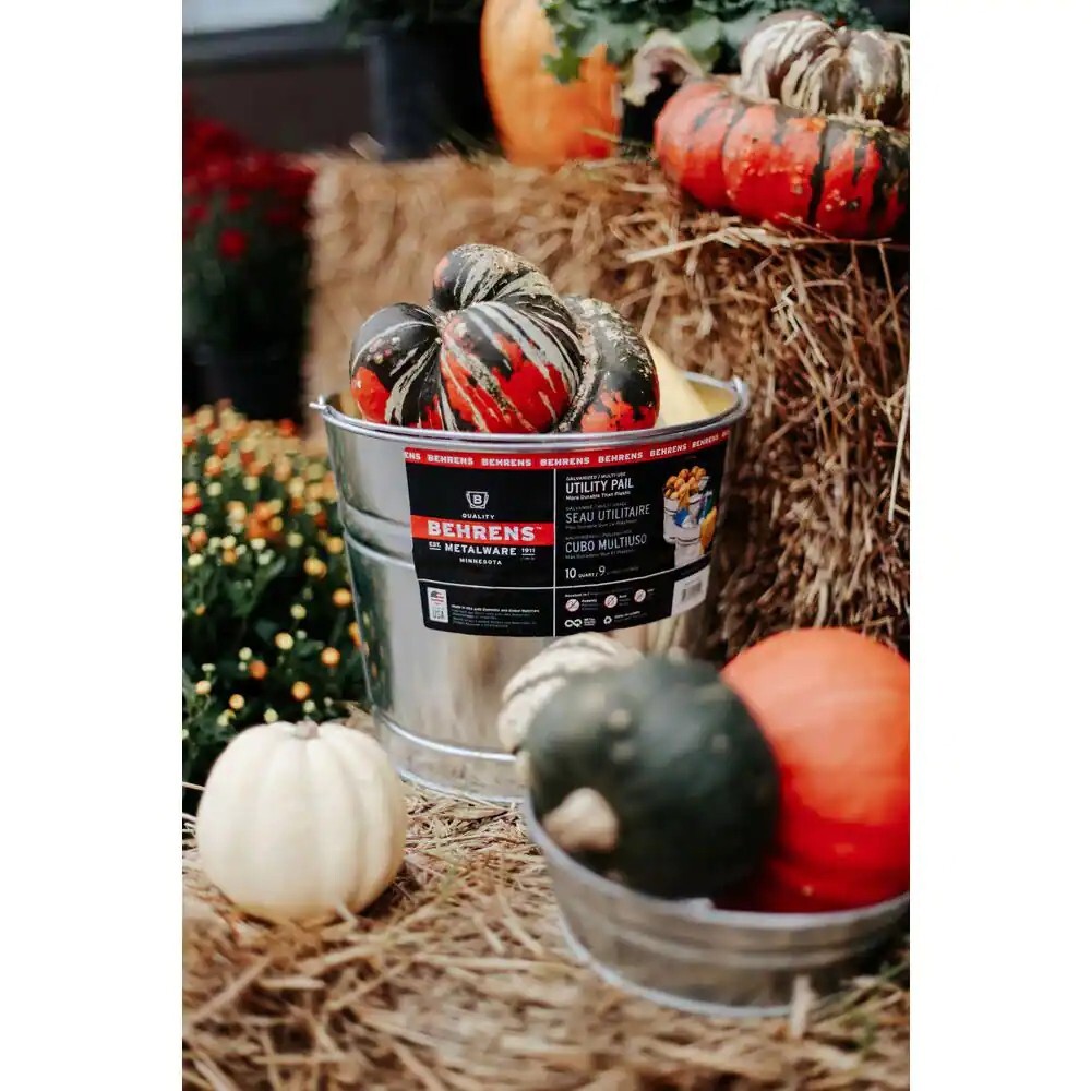 10 Qt. Galvanized Steel Pail: Durable Utility Container