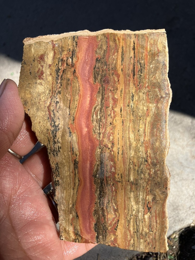 Pink Lady Rhyolite Slab (NM)