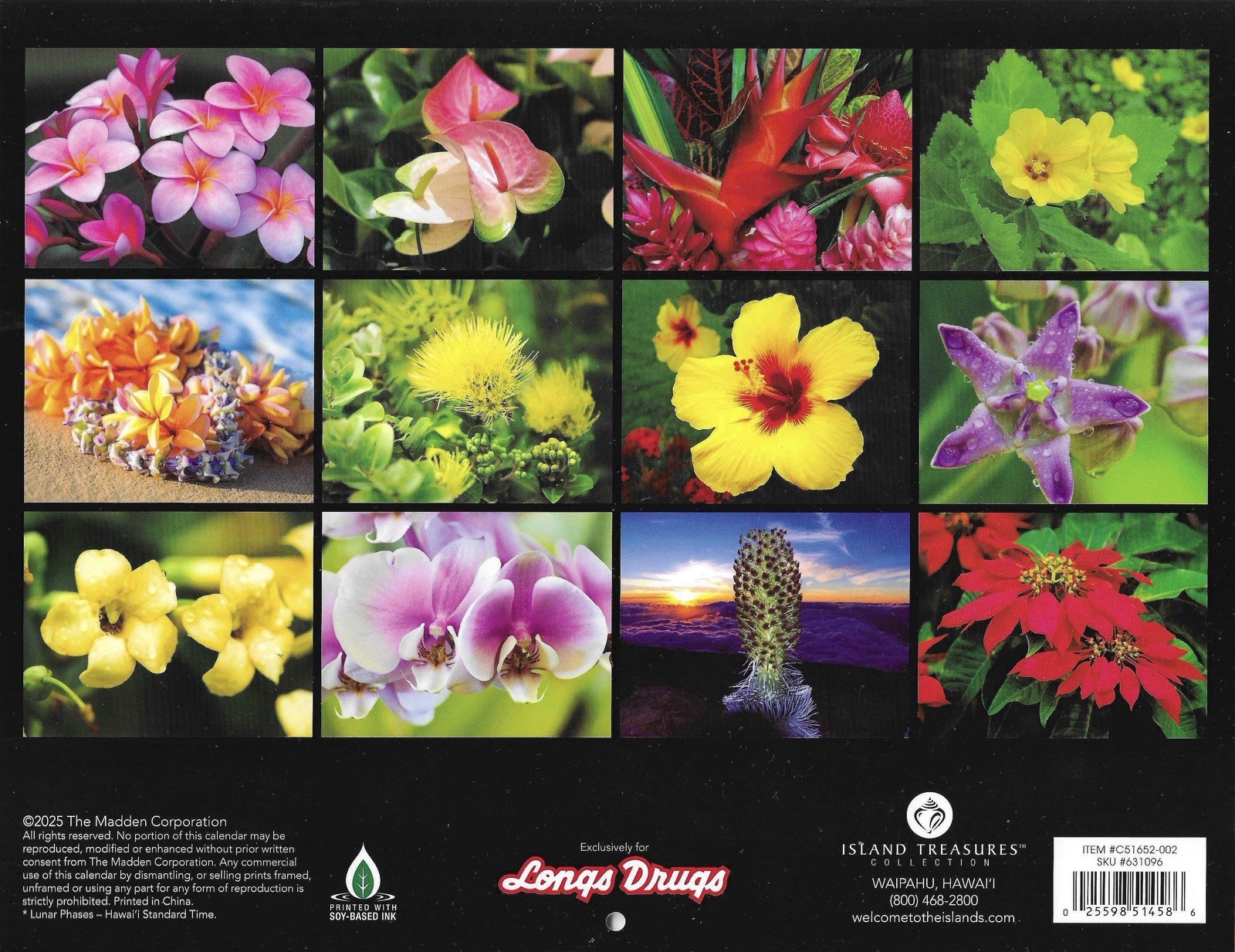 2026 Hawaiian Wall Calendar Flowers Tropical Hibiscus Orchids Plumeria Holiday