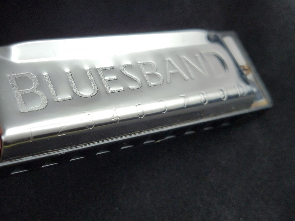 Hohner Blueband Harmonica w/ Black Swan Plastic Case