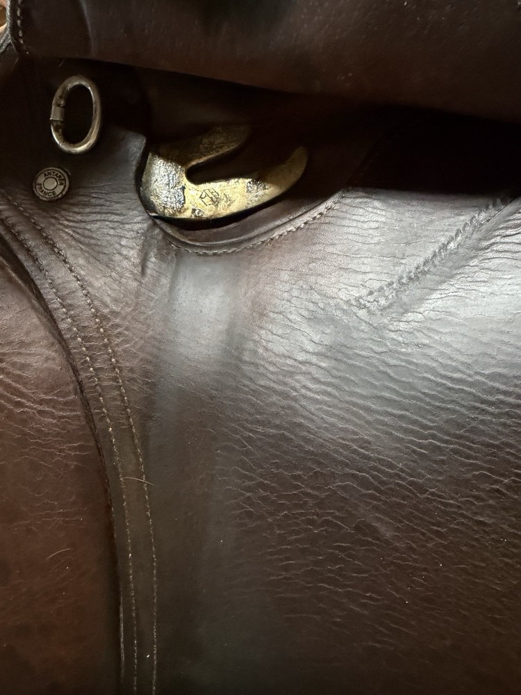Antares Evolution Close Contact Jump Saddle 17" MW