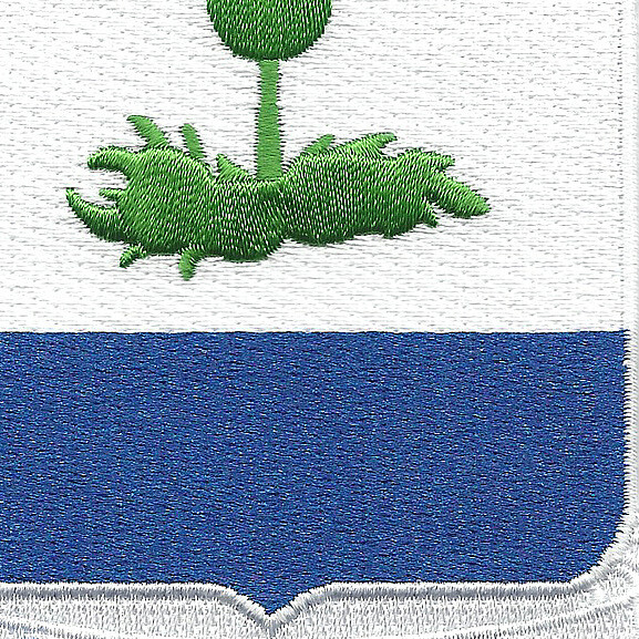 338th Infantry Regiment Patch