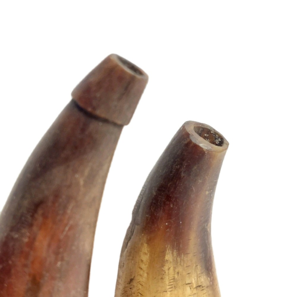 VTG Powder Horns