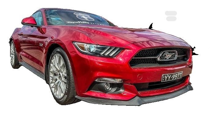 Touch up Paint Kit with Brush 1 Oz - FORD RR RUBY RED