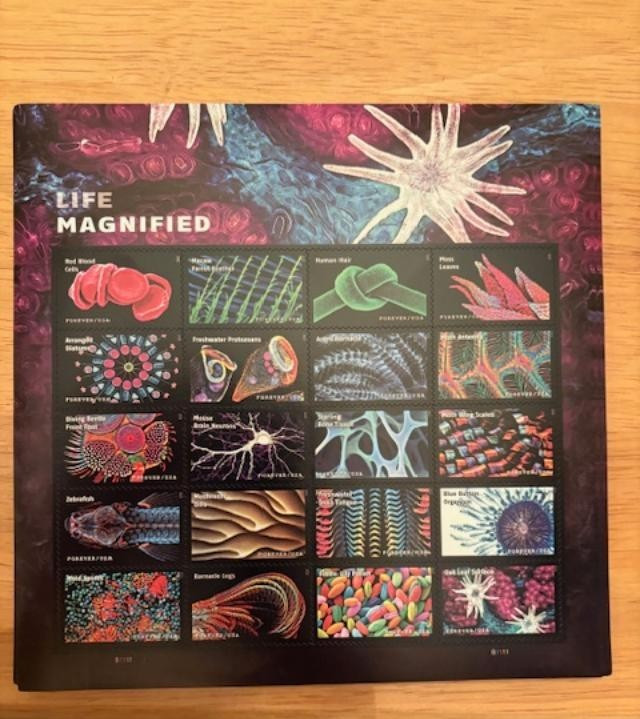 SHEET OF 20 LIFE MAGNIFIED STAMPS