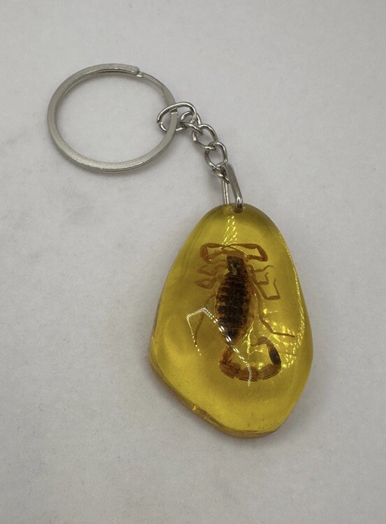Scorpion Amber Keychain, Scorpion Keychain, Unique Keychain, Arizona Gift