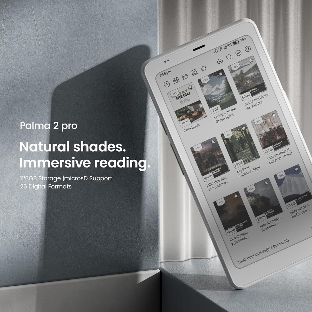 BOOX Palma2 Pro Mobile ePaper eBook Reader PLUS Extra