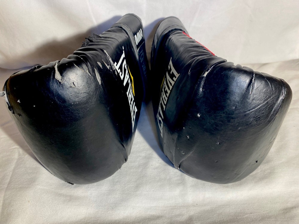 Everlast Boxing Training Gloves & Training Pad