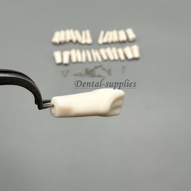 Dental Study Teeth Models Technician Practice Preparation Removable Tooth Nissin