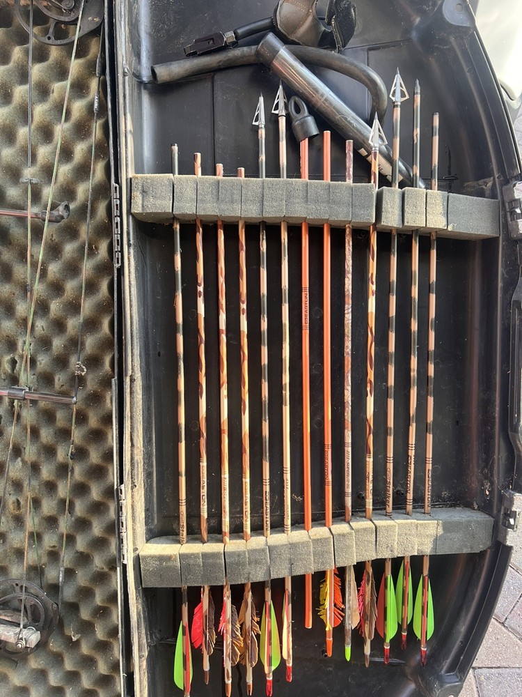 hoyt charger compound bow