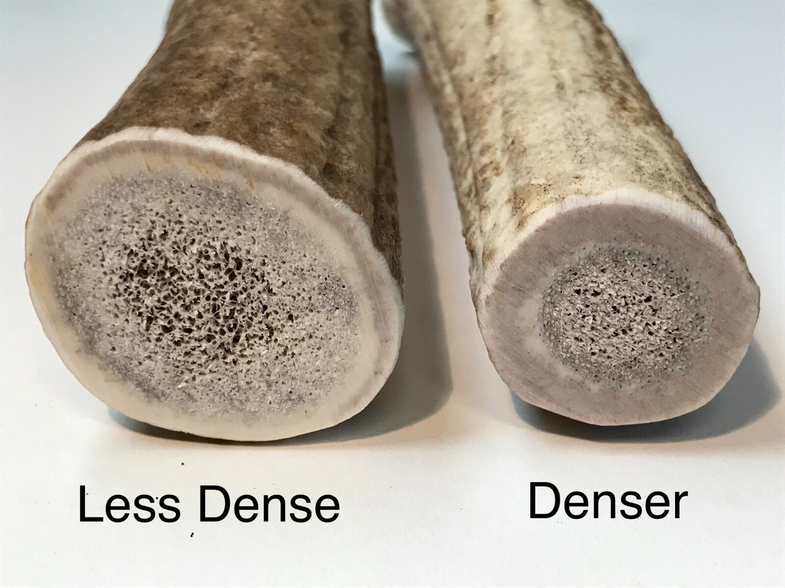 BEST VALUE! 2 POUNDS of Seasoned Elk/Deer Whole Antler Dog Chews -MEDIUM & LARGE