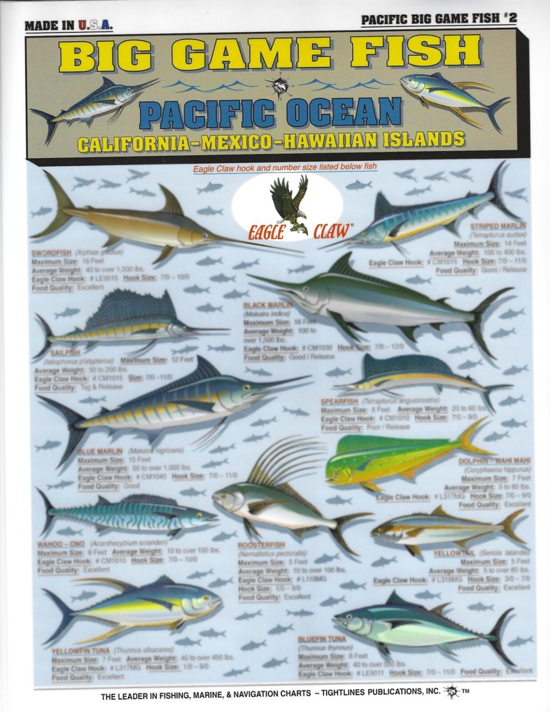 Pacific Ocean Fish Identification #2 - Quick Reference Guide