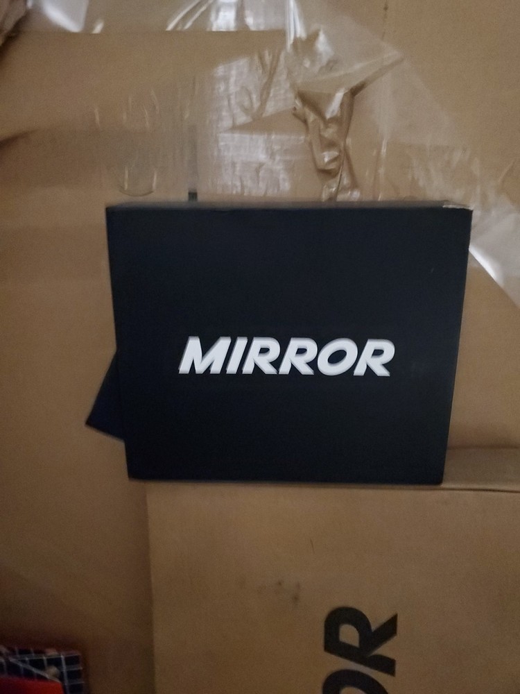 The Mirror Home Work Out System