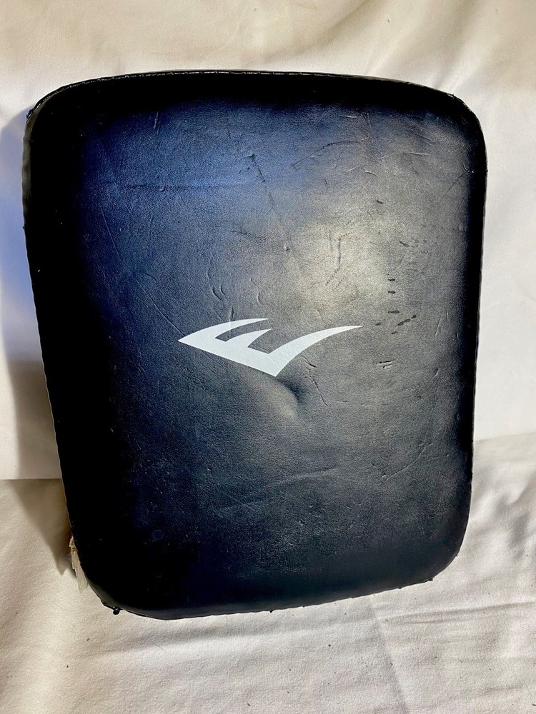 Everlast Boxing Training Gloves & Training Pad
