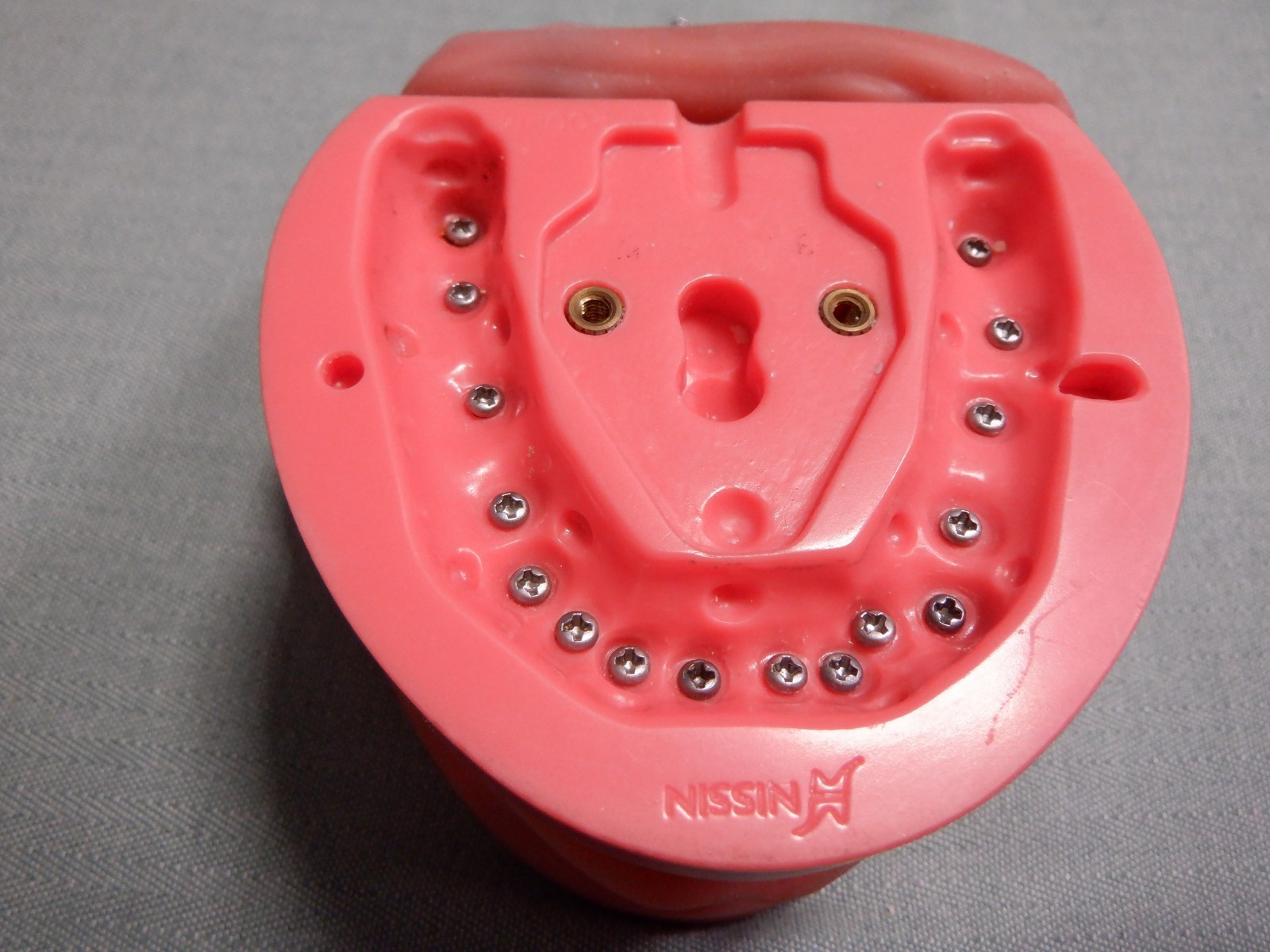 Nissin Typodont Dental Teeth