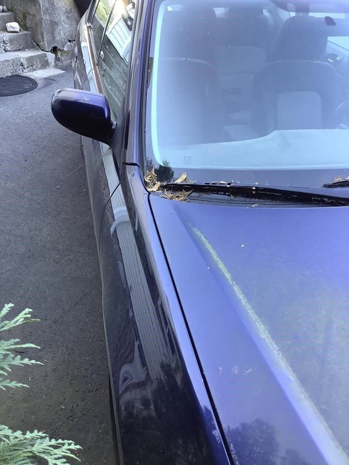 Ignition Switch Excluding Outback Base Fits 2005 LEGACY Tested OEM