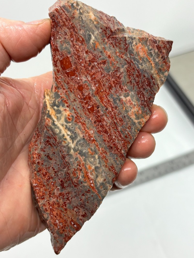 Orbicular Leopard Skin Jasper Slab Lapidary Cabbing Combo Ship Avail