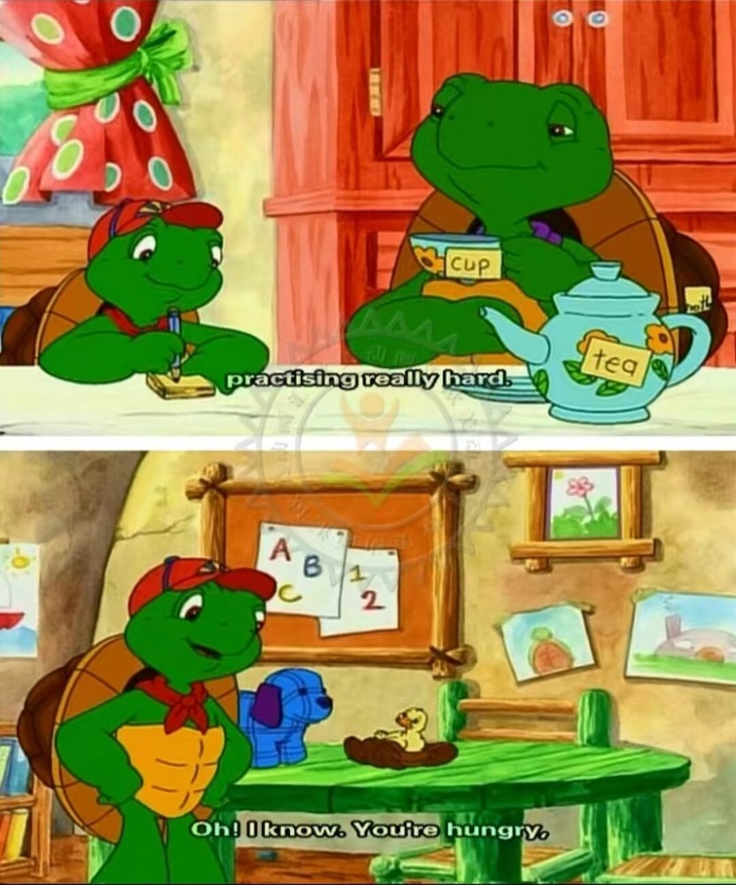 Franklin Seasons 1 to 2 DVD
