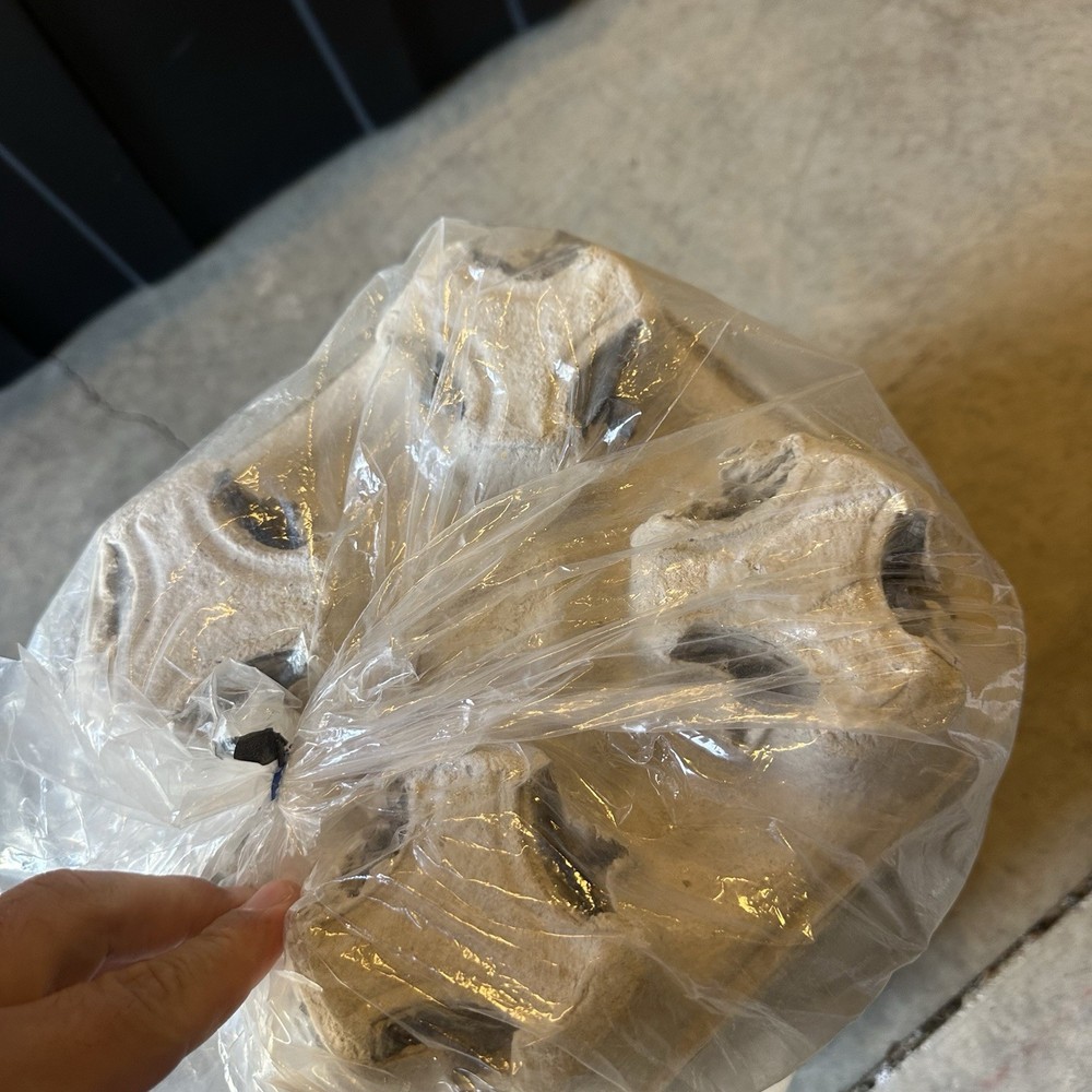 50 Pack Fiber 4 Cup Drink Carrier Tray Stackable