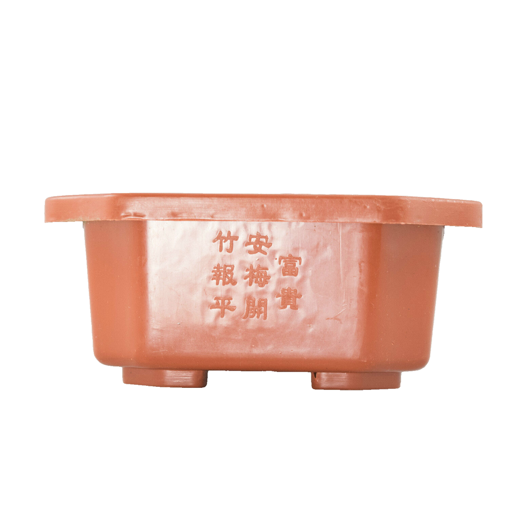 4 Rectangular Plastic Bonsai Training Pot, Succulent Planter - 6.25"x 4.5"x 2"