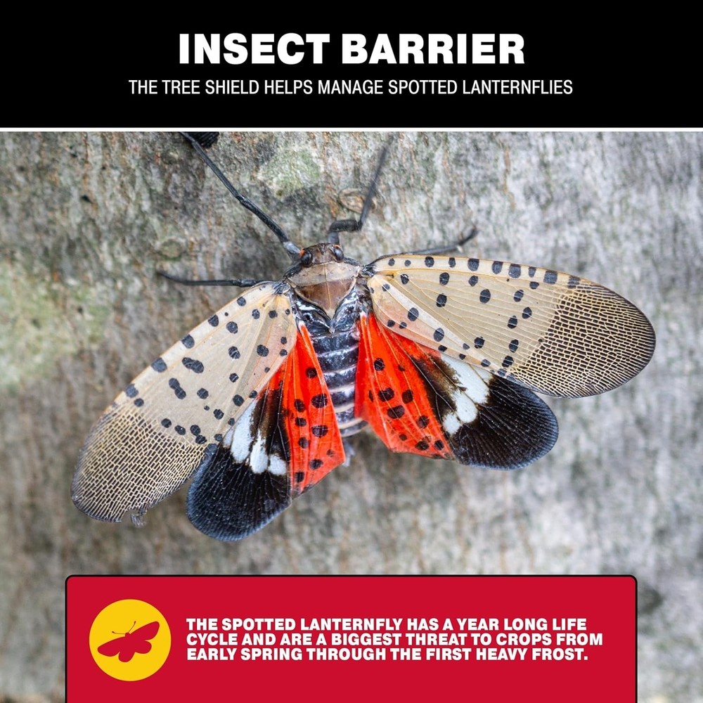 Tree Shield Lantern Fly & Ant Traps Insect Barrier, 4 Rolls 30ft Each, Outdoo...