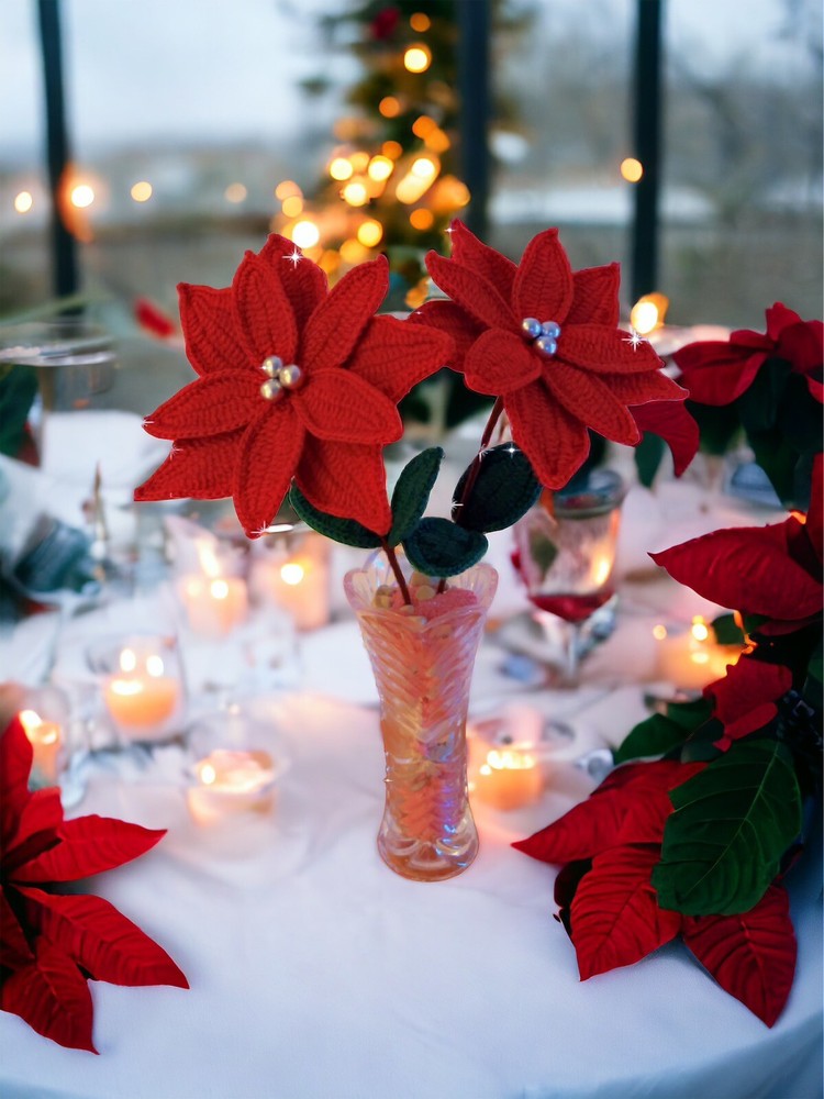 Crochet Christmas Star