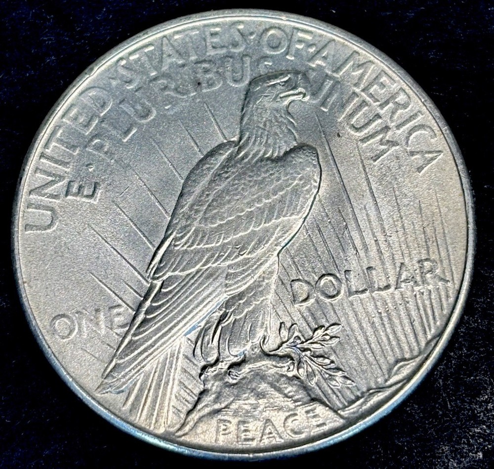 1934 PEACE DOLLAR INCREDIBLE GEM QUALITY.