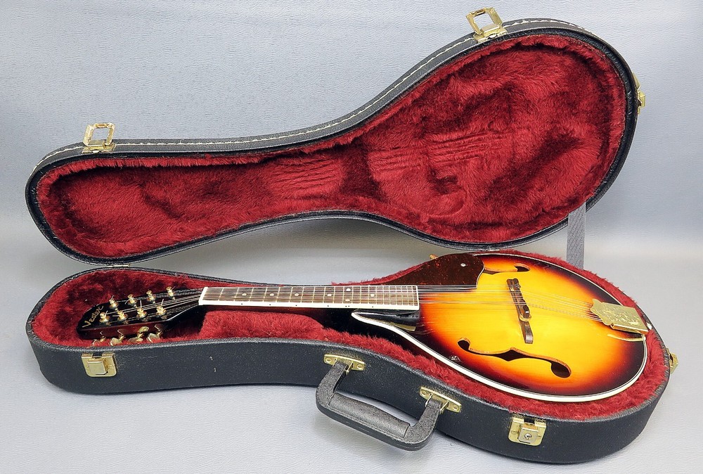 Mandolin Vester