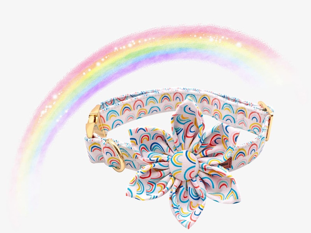 Paws Flower Dog Collar X-Small Adjustable Rainbow Floral Pattern Durable