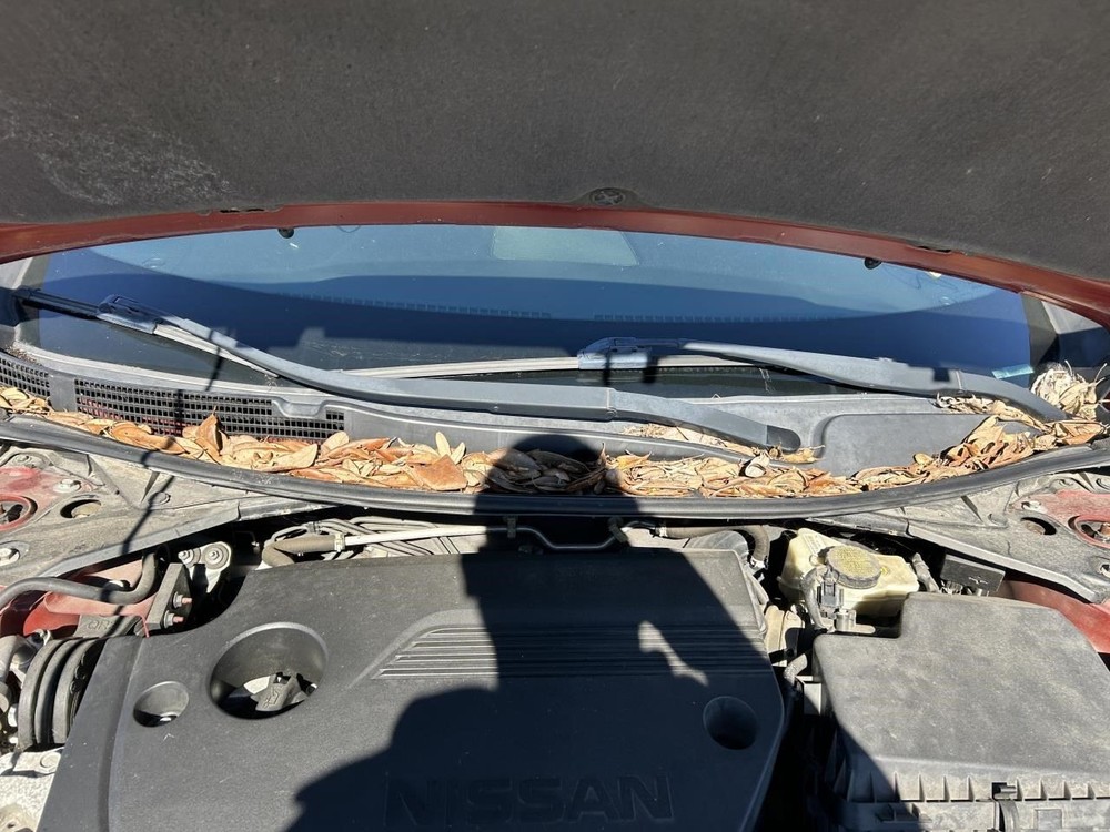 ALTIMA 2016 High Mounted Stop Light 104955437