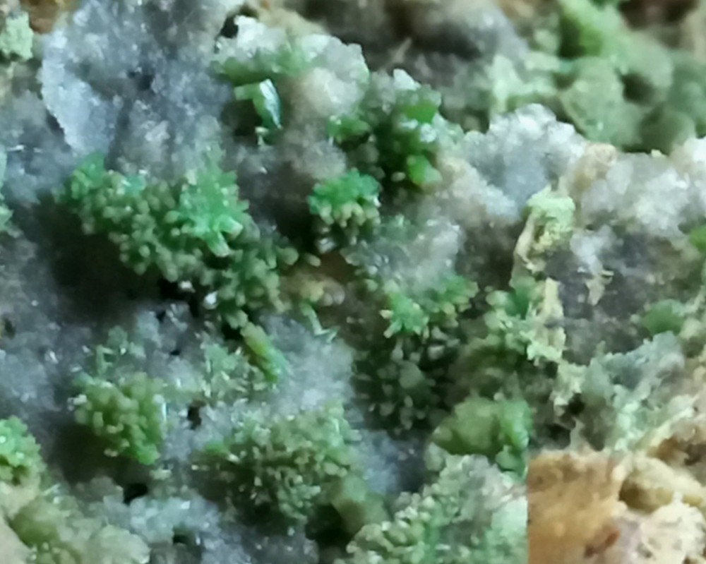 Pyromorphite Sardinia