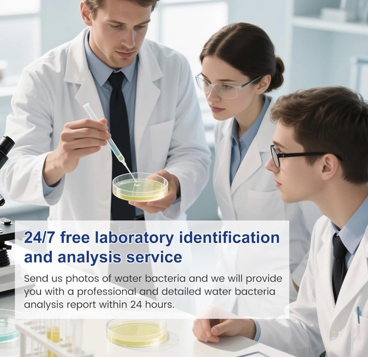 Bacteria Test Kits