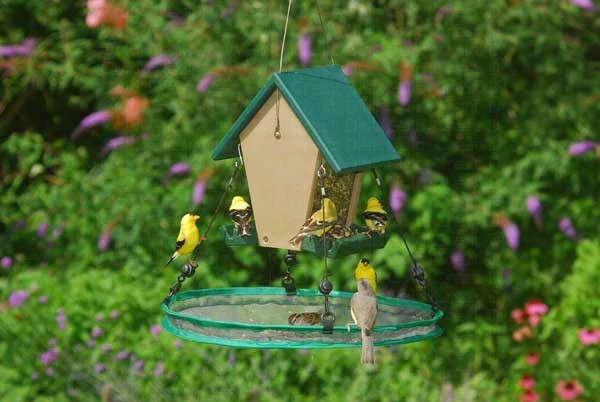 Seed hoop 16 inch round