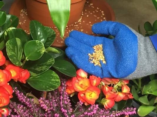 Summit Mosquito Bits 30oz. Kills Mosquito Larvae within 24 hours 2 Pack