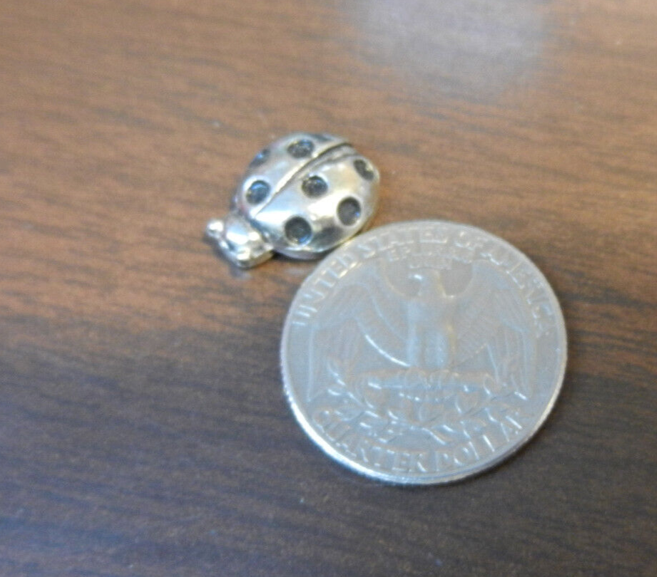 NEW GANZ SILVER LADY BUG POCKET CHARM