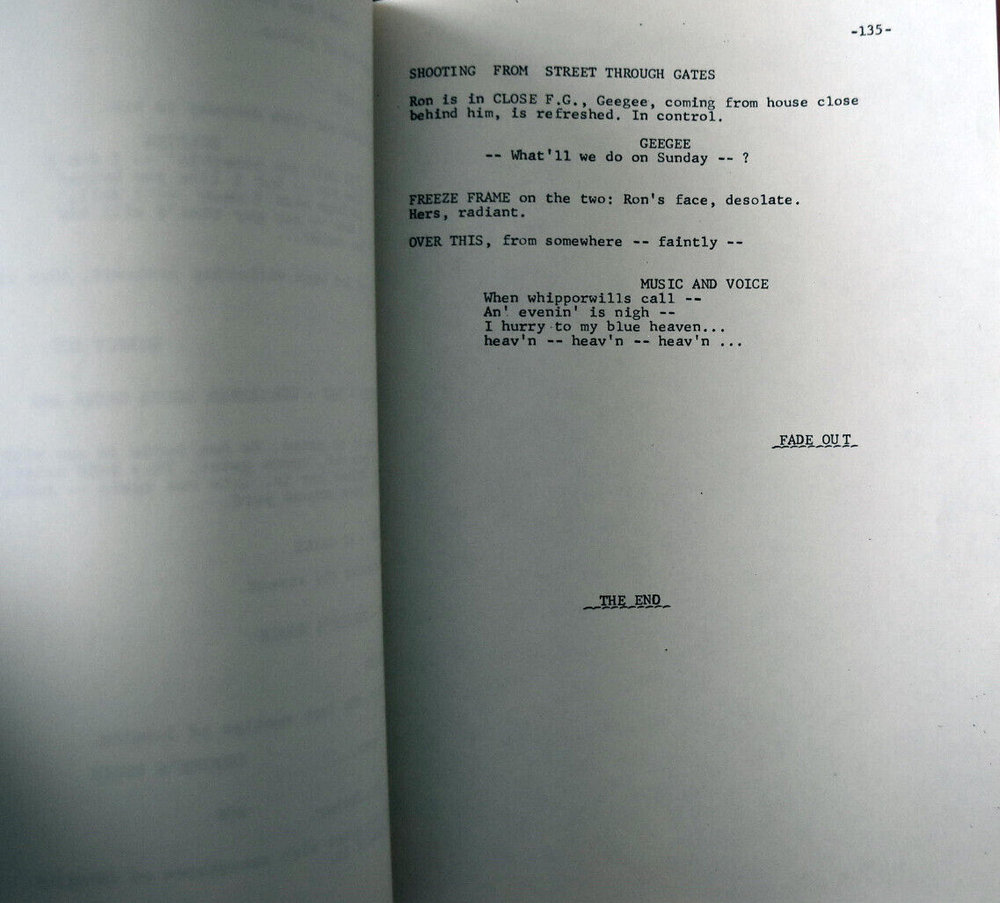 "What'll We Do On Sunday!" Original Screenplay Script