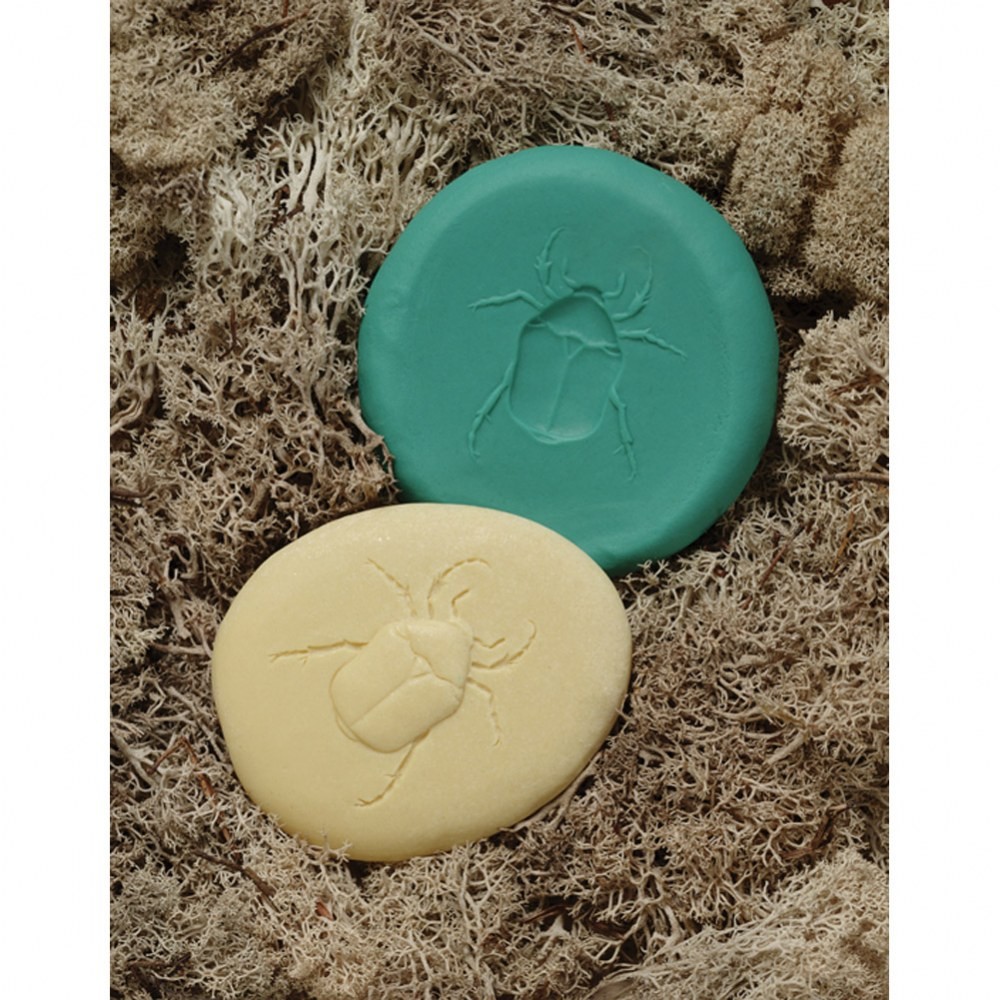 Yellow Door Play & Explore Bugs