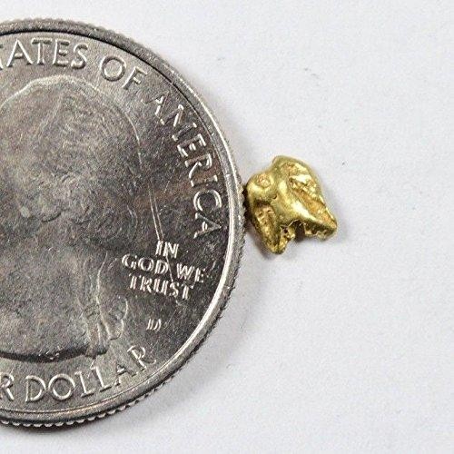Alaskan-Yukon BC Gold Rush Natural Gold Nugget 0.25 Grams Genuine