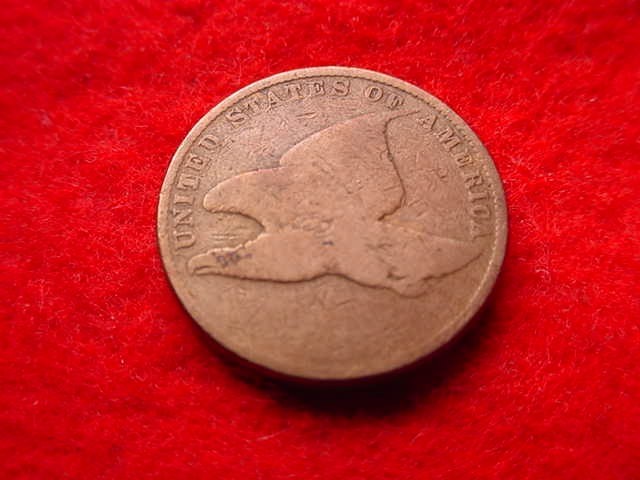 1858 FLYING EAGLE CENT NICE CENT!!   #293