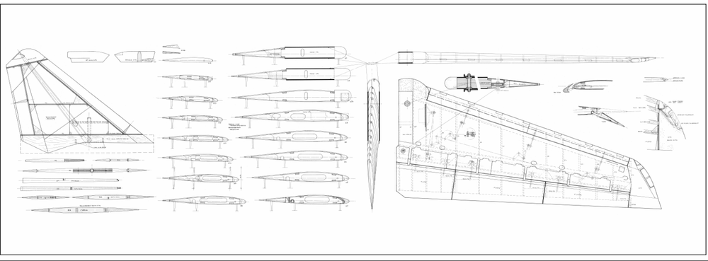 F-14 Tomcat Digital pdf plans 80 inches.