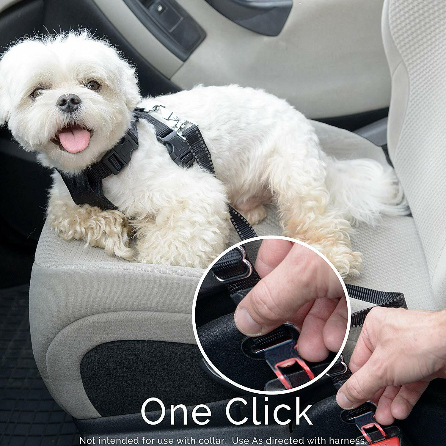 Dog Seat Belt Leash Pet Seatbelt Car Suv Safety Adjustable Harness Tether 2Pack