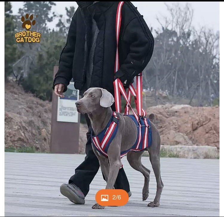 Brother CatDog Lift Harness Large