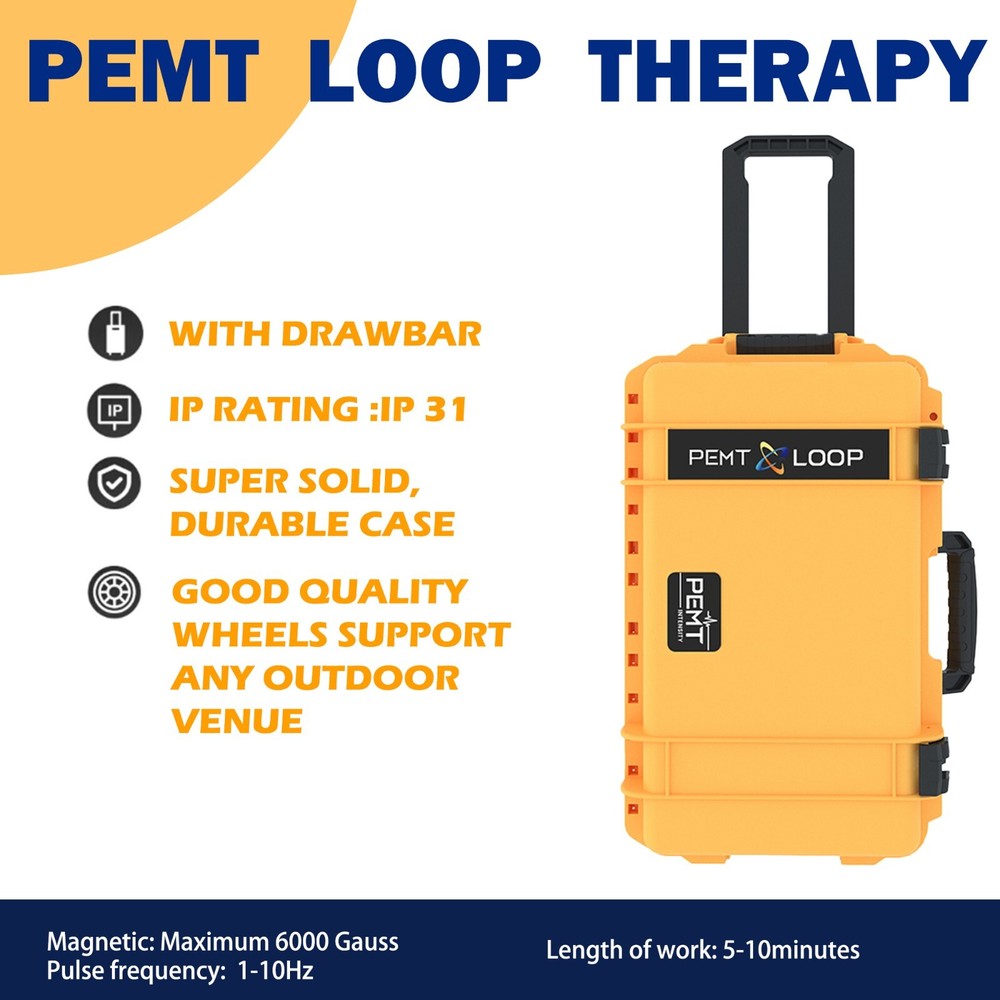 Hot US Warehouse PEMF PMST Loop Magnetic Therapy Machine Ship Fast