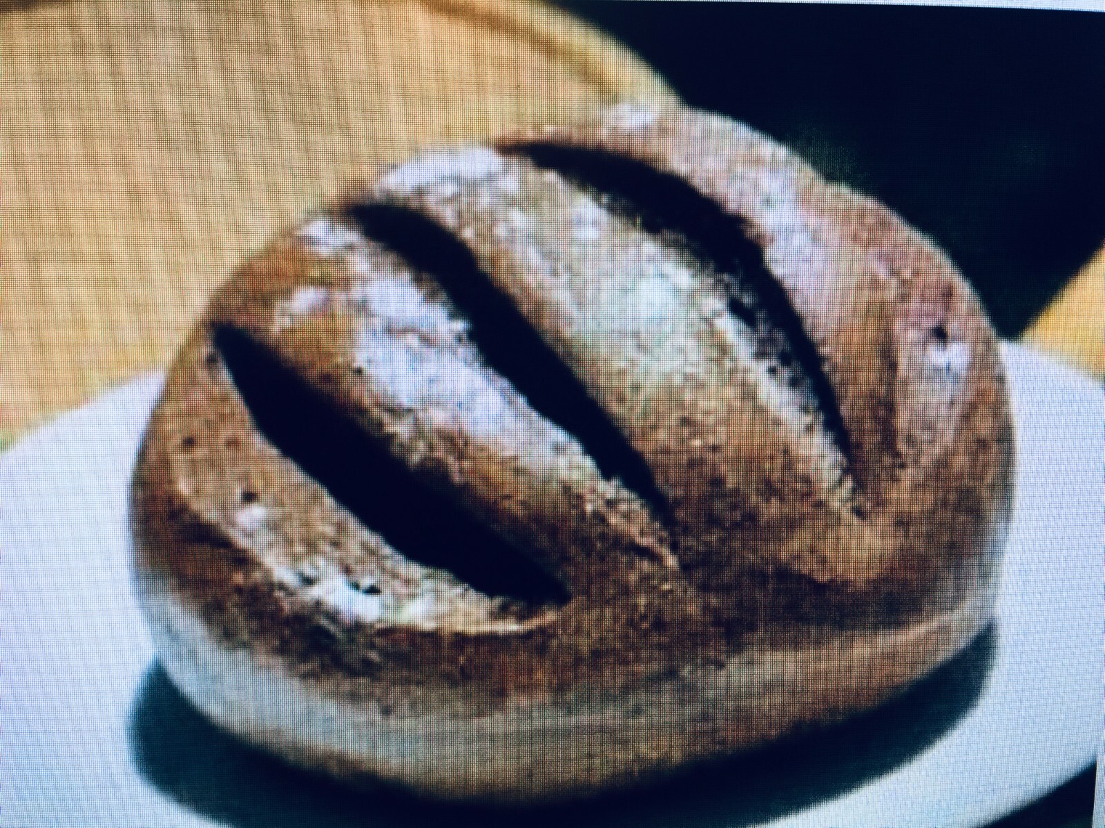 Bavarian "Black Death" Sourdough Starter YEAST 400 Year-Old History ACTIVE SOUR