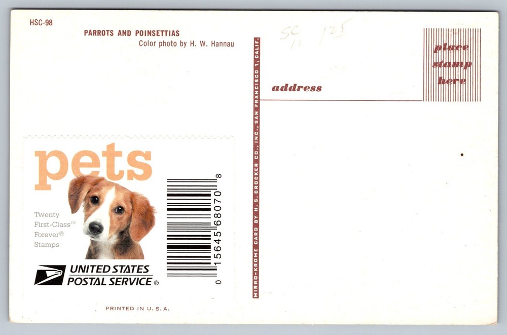 #5115 Pets Parrots FDC Maxi Card