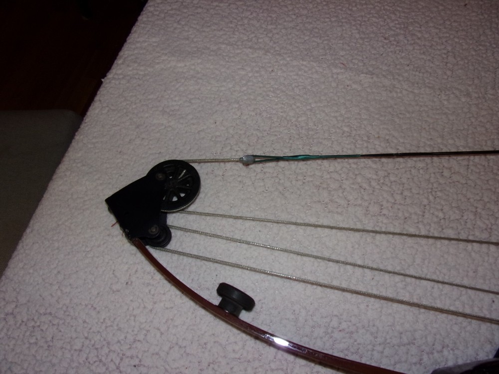 Bear Whitetail Hunter Right Hand Compound Bow