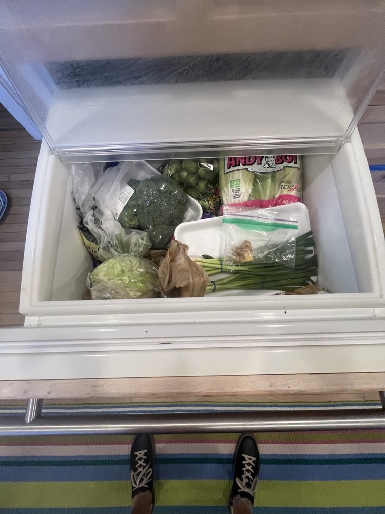 Subzero 700TR 27" PANEL READY Refrigerator WORKING