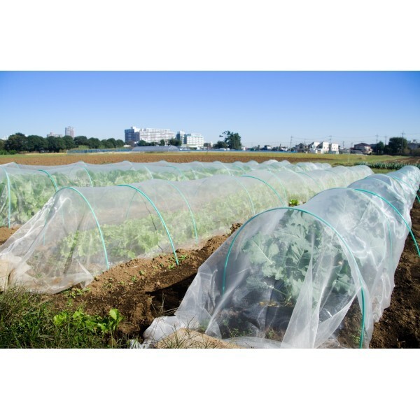 Farm Plastic Supply - Garden Insect Netting Screen - 40 Mesh - Choose Your Size