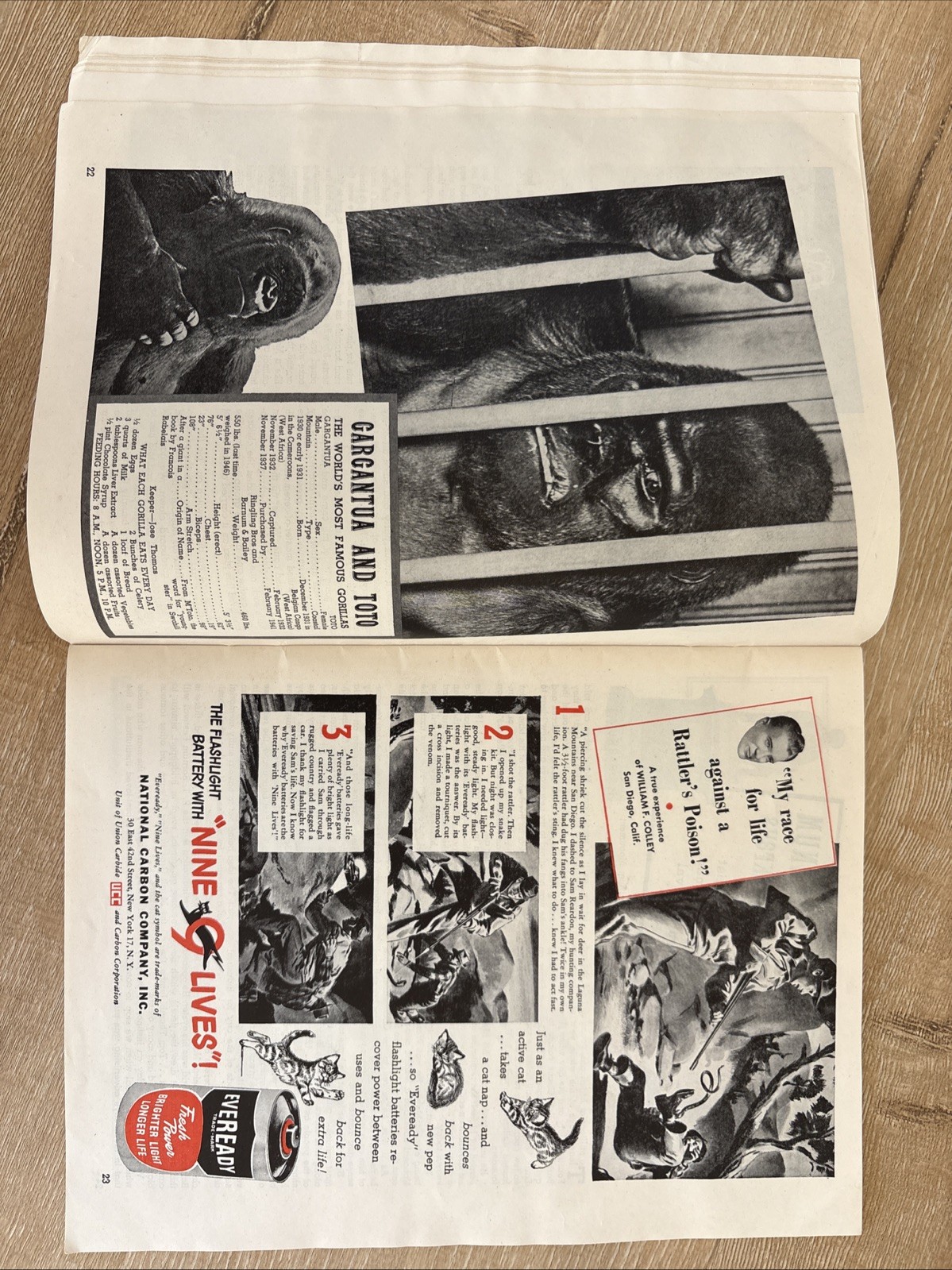 RINGLING BROS and Barnum & Bailey Circus 1949 Vintage Program Magazine